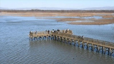 Efteni G&ouml;l&uuml; Kuş Cenneti hafta sonu doğaseverleri ağırladı