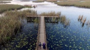 Efteni Kuş Cenneti drone ile görüntülendi