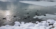 Eğirdir Gölü buz tuttu