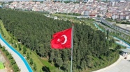 Eğitim, iş, tedavi ve turistik amaçlı Türkiye'yi tercih eden Çadlı sayısı giderek artıyor