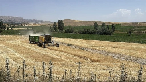Ekili tarım arazisi yüzde 22 artan Kayseri'de üretici sayısı 32 bine ulaştı