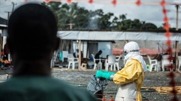 Ekvator Ginesi'nde 6 Marburg virüsü vakası daha tespit edildi