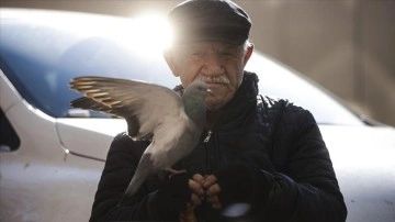 Elleriyle beslediği güvercinler 86 yaşındaki ayakkabı boyacısının en yakın arkadaşı oldu