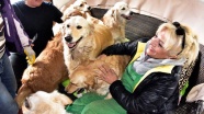 Emekli doktor villasında 50 köpekle yaşıyor