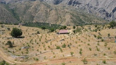 Emekli &ouml;ğretmen diktiği 80 bin fidanla atıl arazileri &uuml;retime kazandırdı