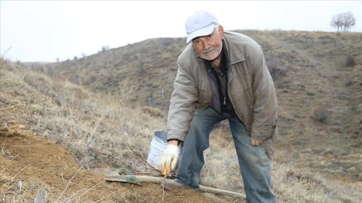Emekli &ouml;ğretmen, h&uuml;nnap &uuml;retimini yaygınlaştırmaya &ccedil;alışıyor