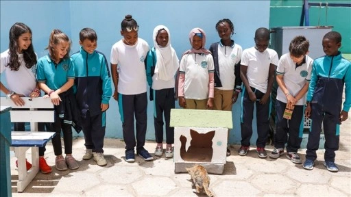 Emine Erdoğan'ın Sıfır Atık Girişimi, Senegal'de kedi evlerine ilham oldu
