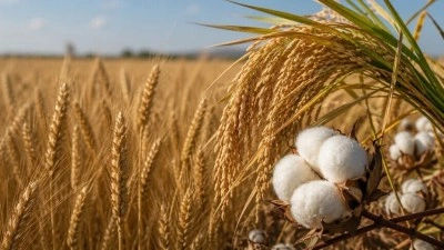 Emtia piyasasında arz ve &uuml;retim endişeleriyle sert y&uuml;kselişler g&ouml;r&uuml;ld&uuml;