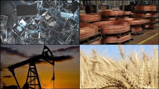 Emtia piyasasında yılın ilk yarısında dalga boyu yükselirken, platindeki yükseliş öne çıktı