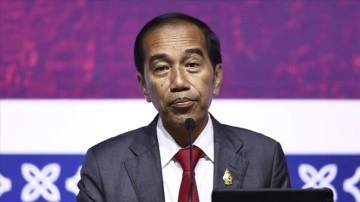 Endonezya Devlet Başkanı Widodo: Savaşı durdurmalıyız
