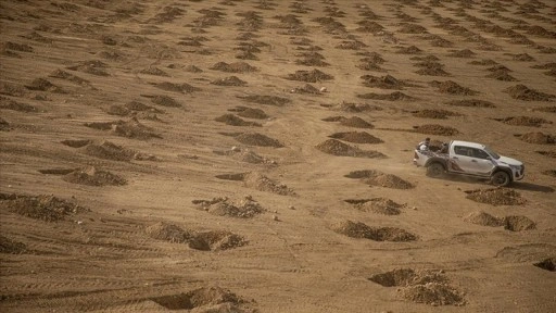 Erbil, "yeşil kuşak" projesiyle 7 milyon ağaçla çevrelenecek