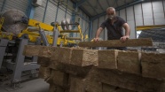 Erciyes'in taşı bitkilere hayat veriyor