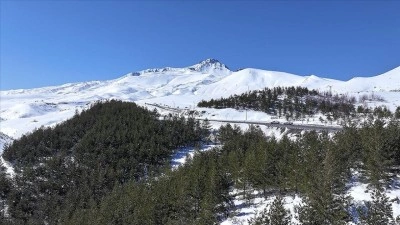 Erciyes'te 15 yılda yaklaşık 7 milyon fidan toprakla buluşturuldu