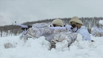 Eren Kış-17 Muş-Şenyayla Şehit Jandarma Üsteğmen İsmail Moray Operasyonu başlatıldı