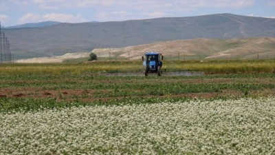 Erzincan'da alternatif &uuml;r&uuml;nlerle tarımsal &uuml;retim &ccedil;eşitleniyor
