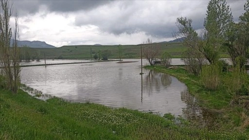 Erzincan’da sağanak sonrası bazı tarım arazileri su altında kaldı