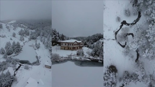 Erzincan'daki Dumanlı Tabiat Parkı beyaza büründü