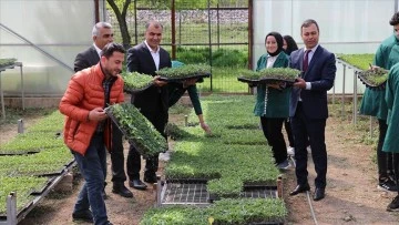 Erzincan'da öğrencilerin uygulama derslerinde ürettiği fideler satışa sunuldu