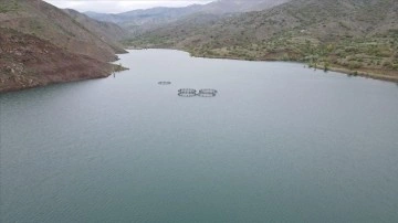 Erzincan'daki Göyne Barajı bahar yağışlarıyla doldu