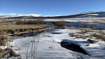 Erzurum, Ardahan ile Kars'ta soğuk hava etkili oluyor