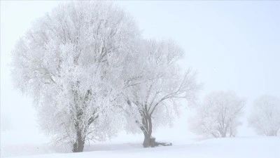 Erzurum, Ardahan, Kars ve Ağrı'da dondurucu soğuk hava etkili oluyor