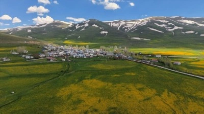 Erzurum'da &ccedil;i&ccedil;eklerle kaplanan &ccedil;ayırlar ile karla &ouml;rt&uuml;l&uuml; dağlar bir arada