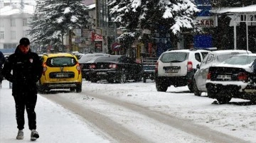 Erzurum, Kars, Ardahan, Ağrı ve Tunceli'de dondurucu soğuk etkili oluyor
