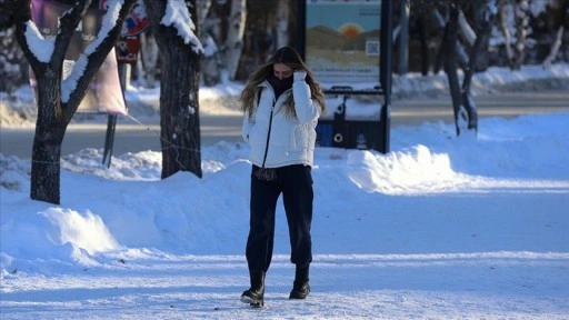 Erzurum sıfırın altında 30,3 dereceyle T&uuml;rkiye'nin en soğuk ili oldu