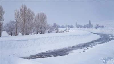 Erzurum, Van, Ağrı ve Muş'ta kar nedeniyle eğitime bir g&uuml;n ara verildi