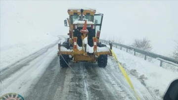 Erzurum'un yüksek kesimlerinde kar etkili oldu