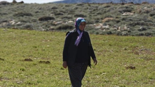 Eşinin vefatının ardından tek başına çiftçilik yapan kadın, eğitimini de aksatmıyor