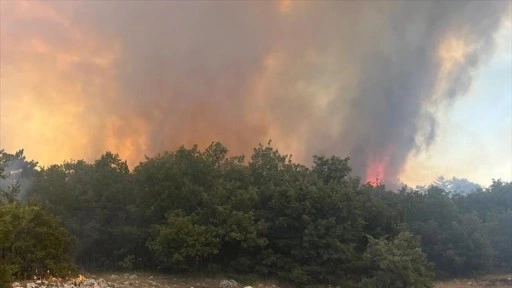 Eskişehir'de çıkan orman yangınına müdahale ediliyor