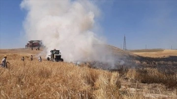 Eskişehir'de 30 dönüm arpa ekili alan yandı