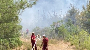 Eskişehir'de çıkan orman yangını kontrol altına alındı