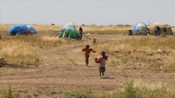 Etiyopya'nın Amhara eyaletinde 11 milyon kişi gıda yardımı bekliyor