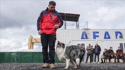 Evdeki can dostları arama kurtarma g&ouml;revine hazırlanıyor