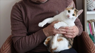 Evlerde i&ccedil;ilen sigaranın evcil hayvanlara zararı araştırıldı