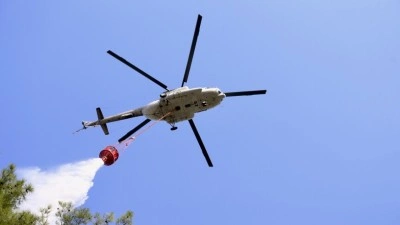 FAO, T&uuml;rkiye'nin orman yangınlarıyla m&uuml;cadele deneyimini "kardeş &uuml;lkelere" aktarıyor