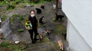 Felçli kediden etkilendi, sokak hayvanlarına 'anne şefkati' ile bakıyor