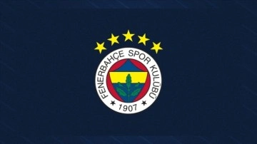 Fenerbahçe Kulübü, Dinamo Kiev maçıyla ilgili UEFA'ya gönderilecek beyannameyi hazırladı