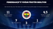 Fenerbahçe'yi yoğun fikstür bekliyor