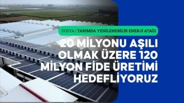 Fide üretilen tesise kurulan GES, enerji giderini yüzde 60 azalttı