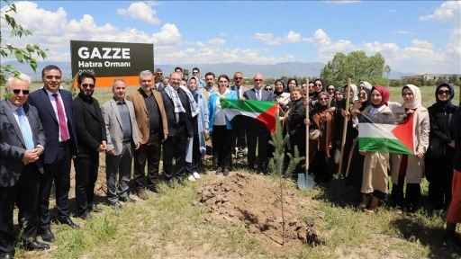 Filistin halkının yaşadığı acılara dikkati çekmek için "Gazze Hatıra Ormanı" oluşturuldu