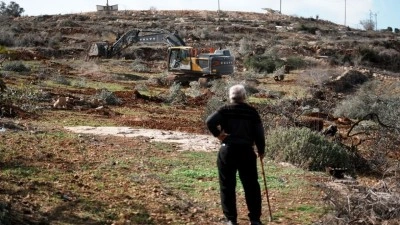 Filistin topraklarını gasbeden İsrailliler, Batı Şeria'da &ccedil;ok yıllık 70 ağacı s&ouml;kt&uuml;