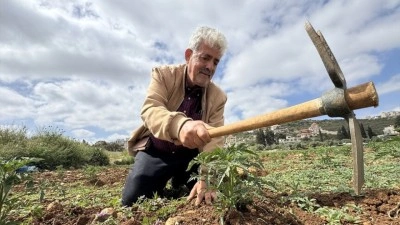 Filistinli &ccedil;ift&ccedil;i, topraklarıyla bağını koparmaya &ccedil;alışan İsrail'e rağmen ata tohumuyla &uuml;retiyo