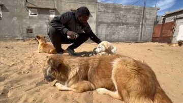 Filistinli hayvansever, Refah'ta bir evin bahçesini hayvan barınağına çevirdi