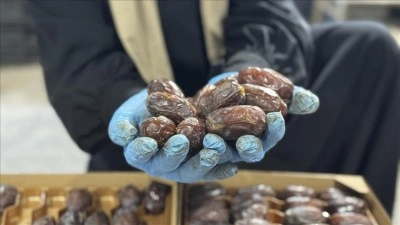 Filistinli yetkililer İsrail hurmalarının Filistin etiketiyle pazarlandığı uyarısında bulundu