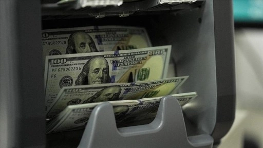 Finansal kesim dışındaki firmaların net döviz açığı temmuzda azaldı