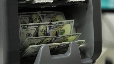 Finansal kesim dışındaki firmaların net d&ouml;viz pozisyon a&ccedil;ığı martta azaldı