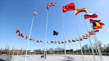 Finlandiya'nın NATO üyeliği, Türkiye'nin açık kapı politikasına desteğinin göstergesi oldu